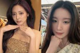 公司简介